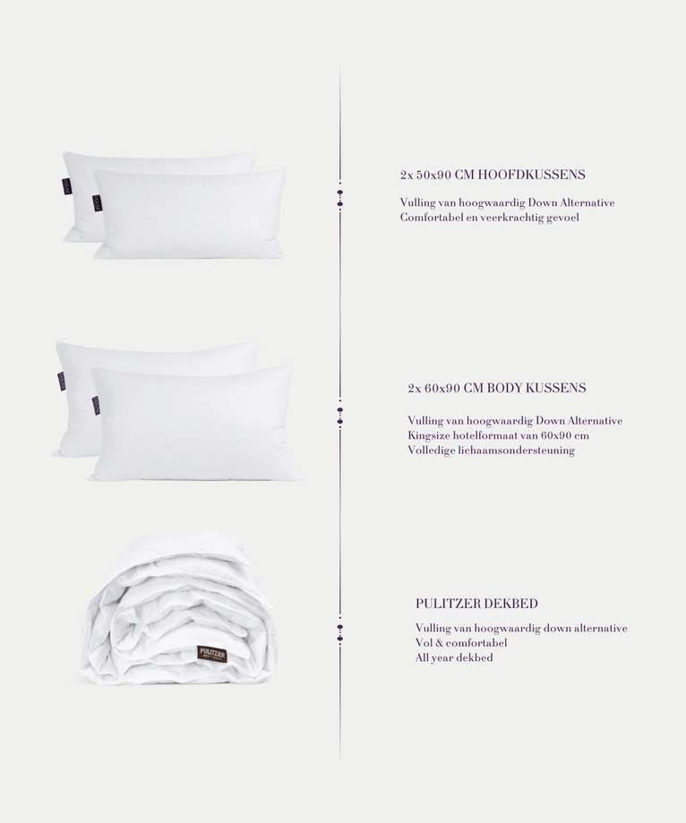 Down Alternative Comfort Suite Bedding Set