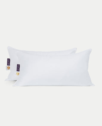 Down Pillow Set 50x90 cm - Side Sleeper (2 pcs) FIRM Down Pillow Set 50x90 cm - Side Sleeper (2 pcs) FIRM