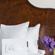Pulitzer Suite Bedding Set