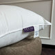 Down Pillow 60x90 | Outlet